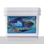 Neptunian Cube Coral Cement