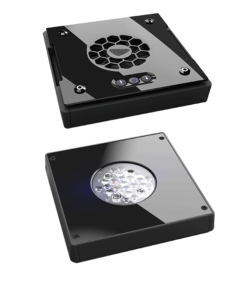 Radion XR15 Freshwater Gen 4
