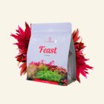 The 2Hr Aquarist APT Feast – Active Aquasoil